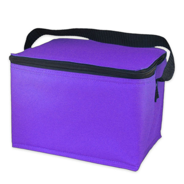 Insulated Cooler Bag
