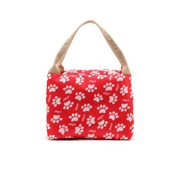 insulated lunch Cooler bag
