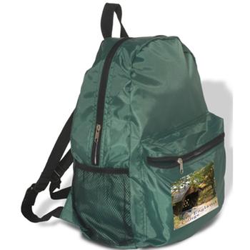 economy backpack-2