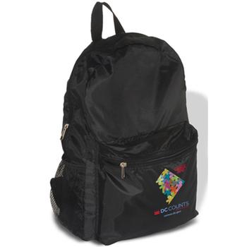 economy backpack-3
