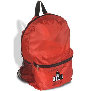 economy backpack-4